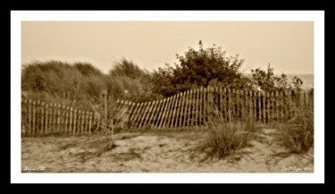 Beach Path