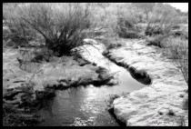 A Stream Runs Through It