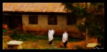 African Morning