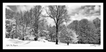 After the Blizzard