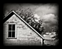 Window
