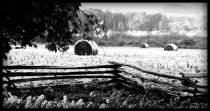 Winter Begins