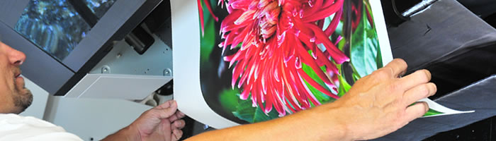canvas print