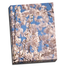 Image of Canvas Print 18 x 24 Frame-Ready