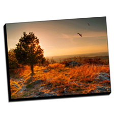 Image of Canvas Print 40 x 30 Gallery Wrap
