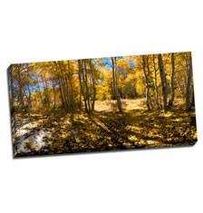 Image of Canvas Print 36 x 18 Gallery Wrap