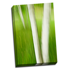 Image of Canvas Print 16 x 24 Gallery Wrap
