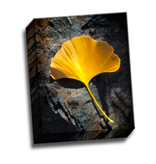 Image of Canvas Print 8 x 10 Gallery Wrap