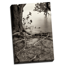 Image of Canvas Print 20 x 30 Gallery Wrap