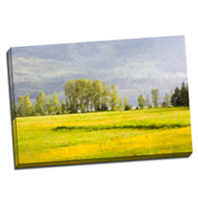 Image of Canvas Print 36 x 24 Gallery Wrap