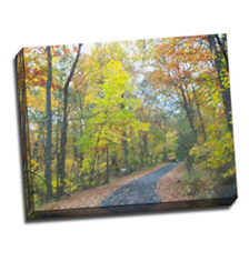 Image of Canvas Print 20 x 16 Gallery Wrap