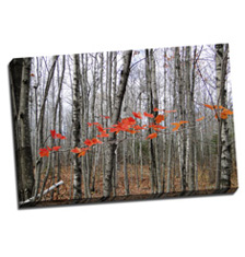 Image of Canvas Print 36 x 24 Gallery Wrap