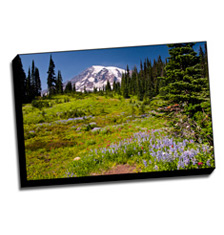 Image of Canvas Print 24 x 16 Gallery Wrap
