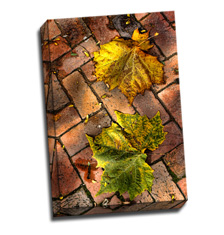 Image of Canvas Print 12 x 18 Gallery Wrap
