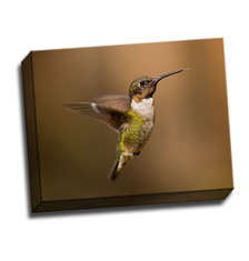 Image of Canvas Print 14 x 11 Gallery Wrap