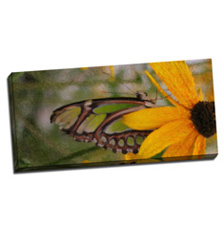 Image of Canvas Print 38 x 18 Gallery Wrap
