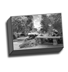 Image of Canvas Print 9 x 6 Gallery Wrap