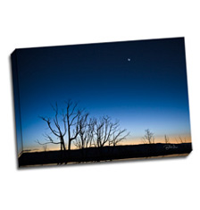 Image of Canvas Print 24 x 16 Gallery Wrap