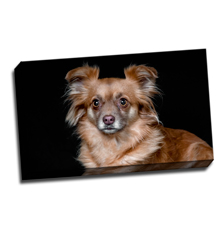 Image of Canvas Print 20 x 12 Gallery Wrap