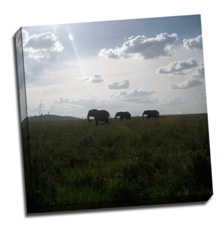 Image of Canvas Print 20 x 20 Gallery Wrap