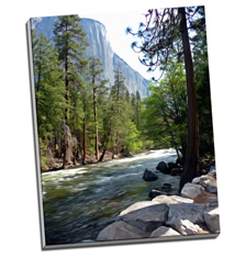 Image of Canvas Print 30 x 40 Gallery Wrap