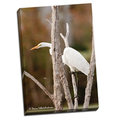 Image of Canvas Print 24 x 35 Gallery Wrap