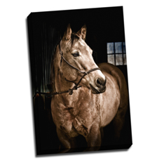 Image of Canvas Print 16 x 24 Gallery Wrap