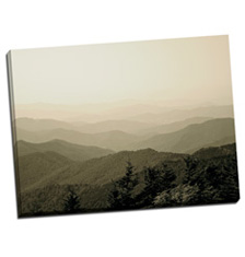 Image of Canvas Print 48 x 36 Gallery Wrap