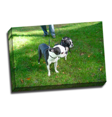 Image of Canvas Print 18 x 12 Gallery Wrap