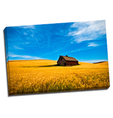 Image of Canvas Print 36 x 24 Gallery Wrap