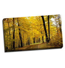 Image of Canvas Print 32 x 18 Gallery Wrap