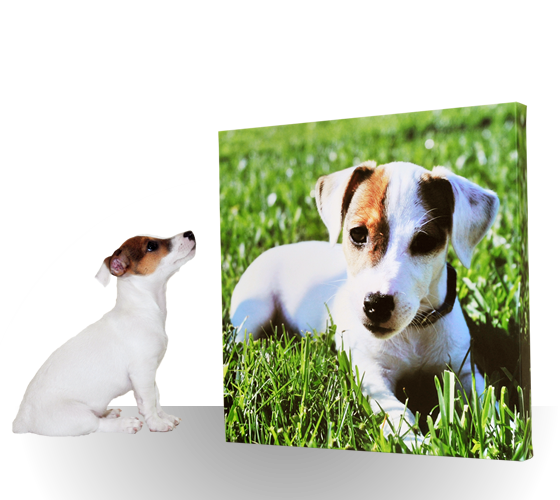 puppy-canvas